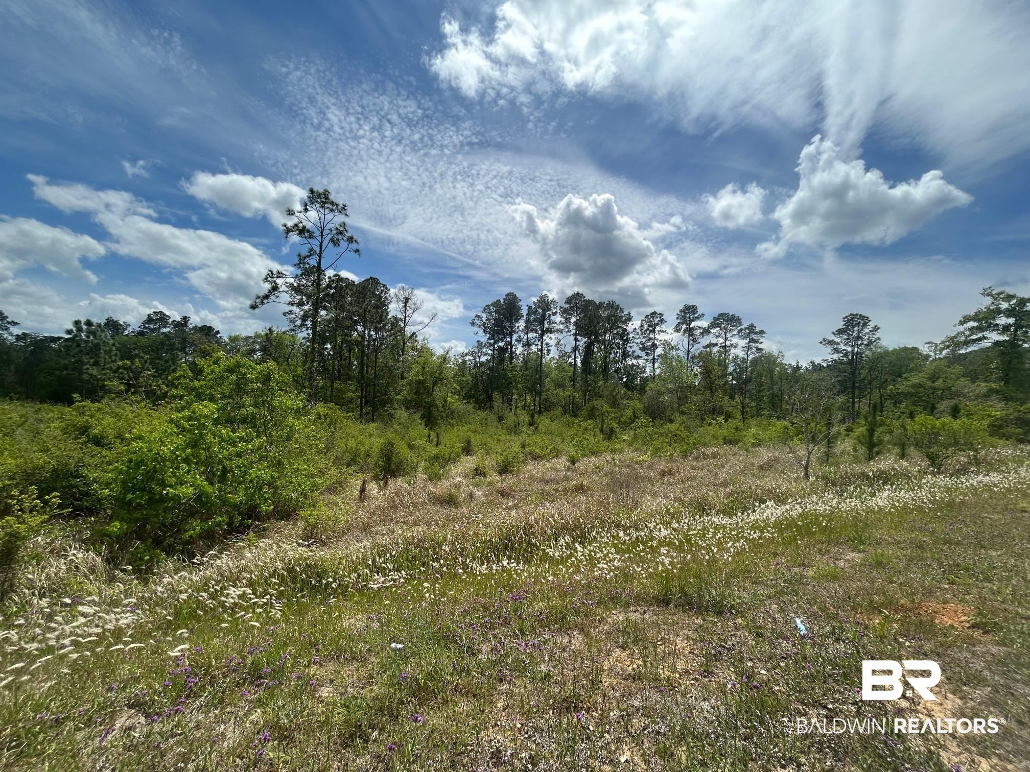 0 Hampton Road Mobile, AL 36608 - Photo 10 of 13