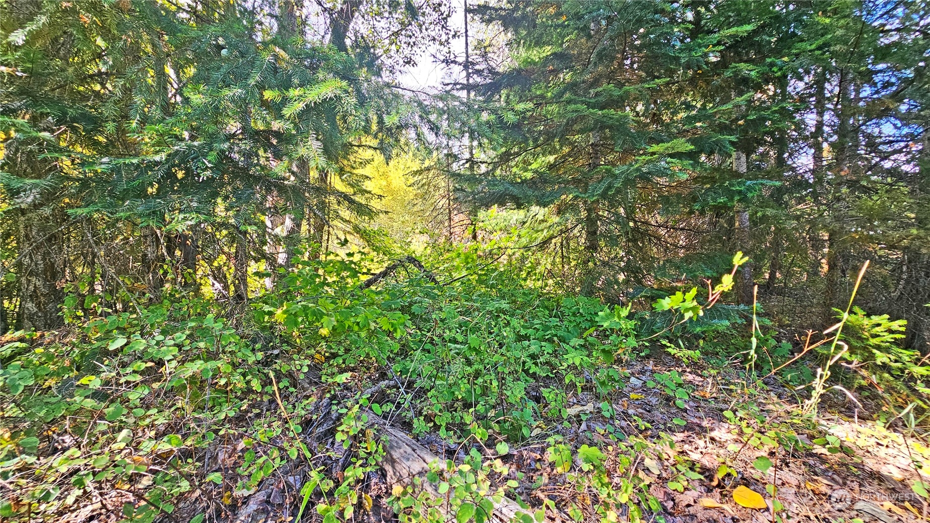 20-22 Teanaway Middle Fork Road Cle Elum, WA 98922 - Photo 13 of 23