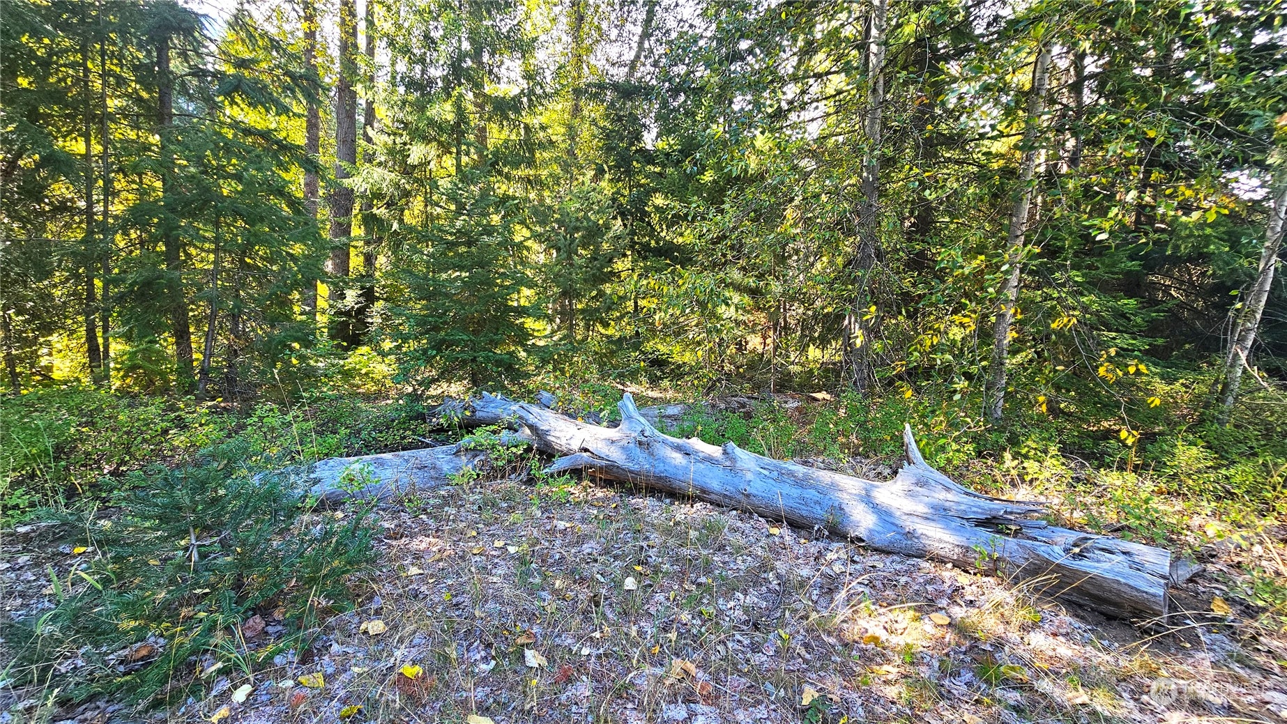 20-22 Teanaway Middle Fork Road Cle Elum, WA 98922 - Photo 14 of 23