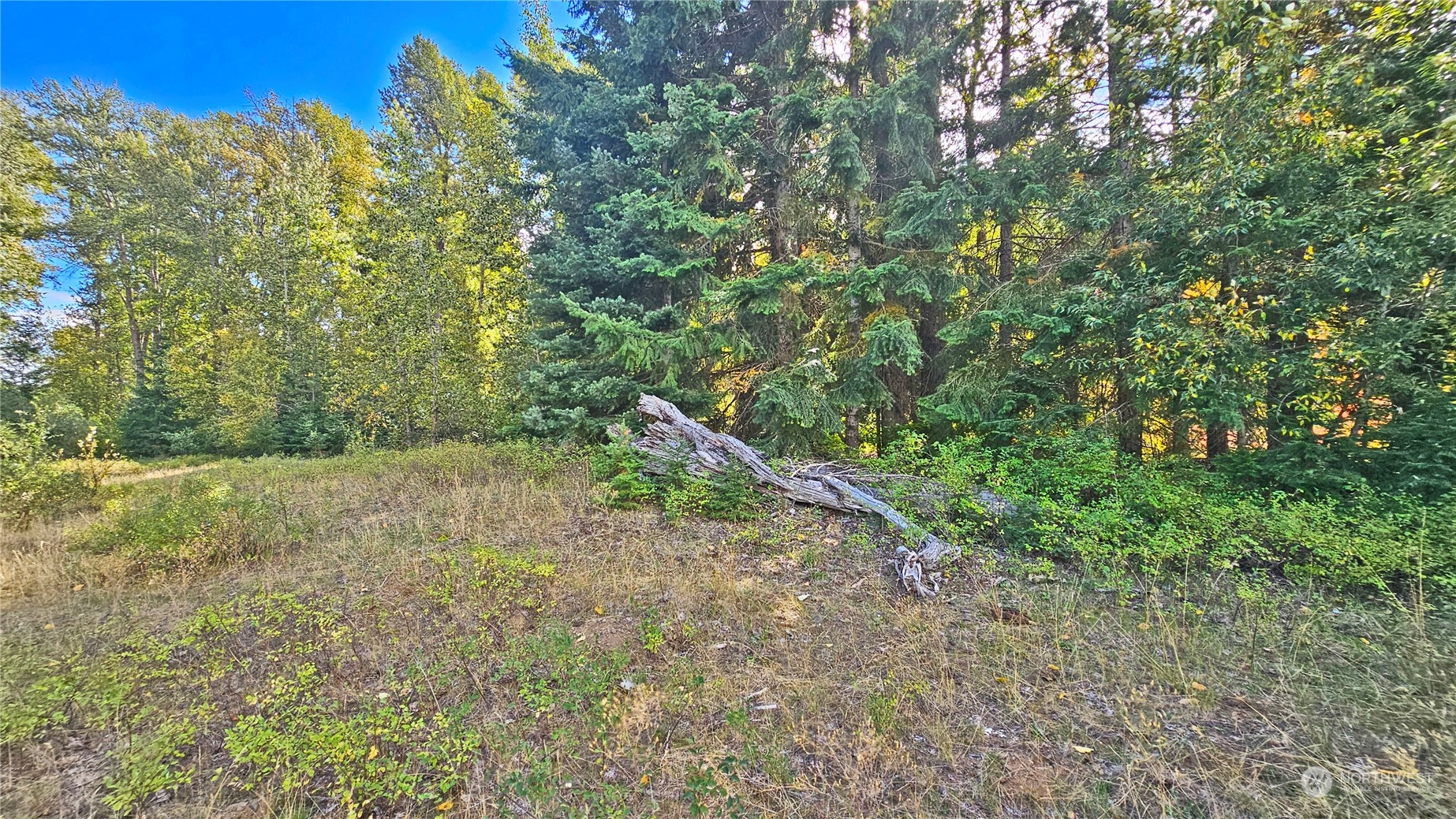 20-22 Teanaway Middle Fork Road Cle Elum, WA 98922 - Photo 18 of 23