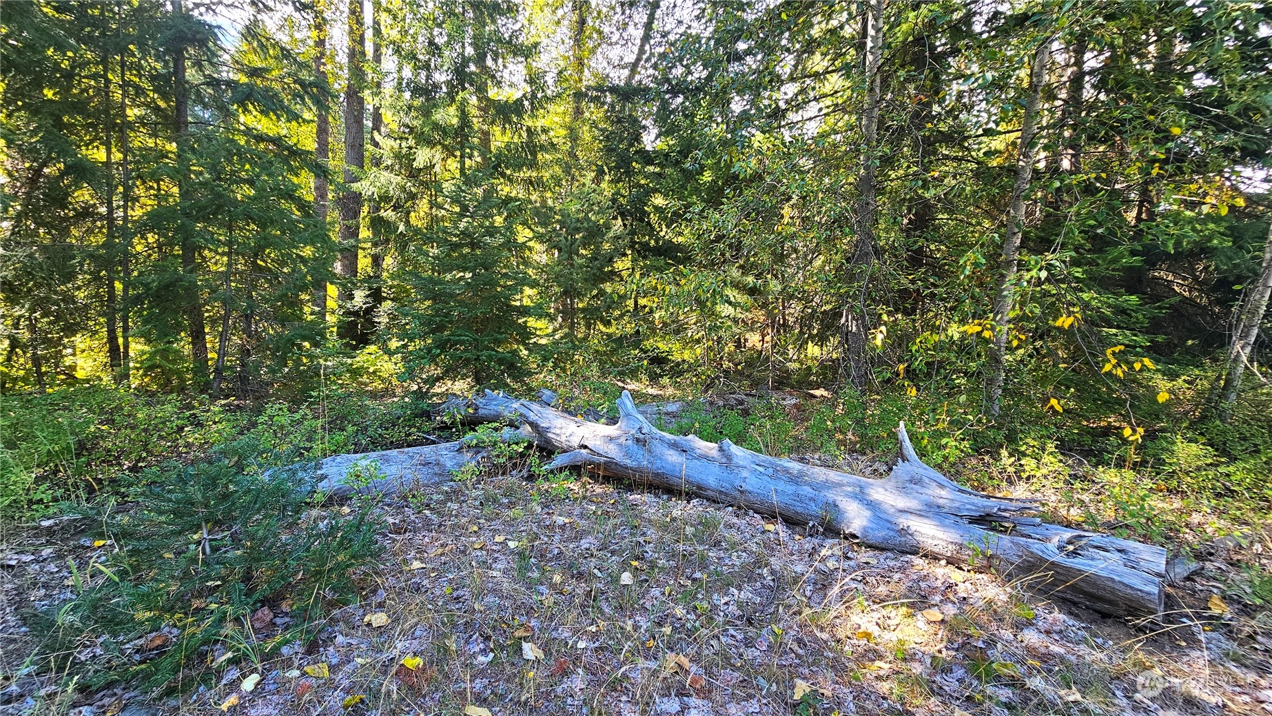 20-22 Teanaway Middle Fork Road Cle Elum, WA 98922 - Photo 21 of 23