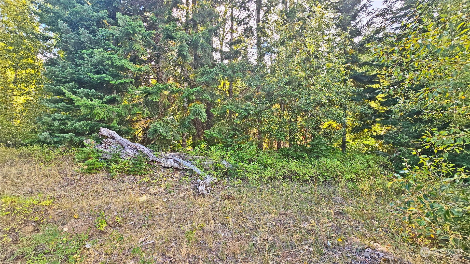 20-22 Teanaway Middle Fork Road Cle Elum, WA 98922 - Photo 23 of 23