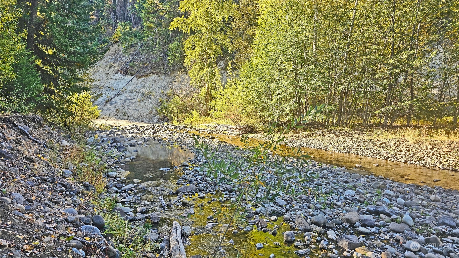 20-22 Teanaway Middle Fork Road Cle Elum, WA 98922 - Photo 6 of 23