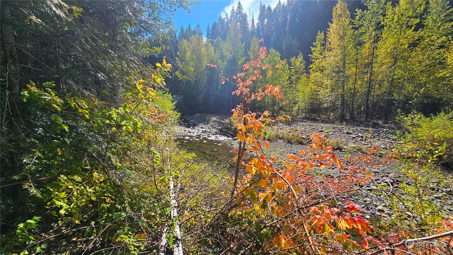 20-22 Teanaway Middle Fork Road Cle Elum, WA 98922 - Photo 9 of 23