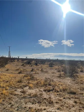 a view of a dry yard