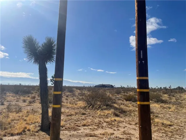 a view of a yard with ocean view
