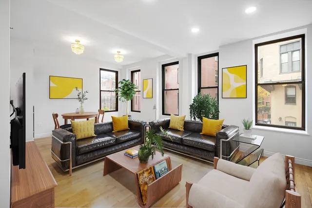 a living room with furniture and a potted plant