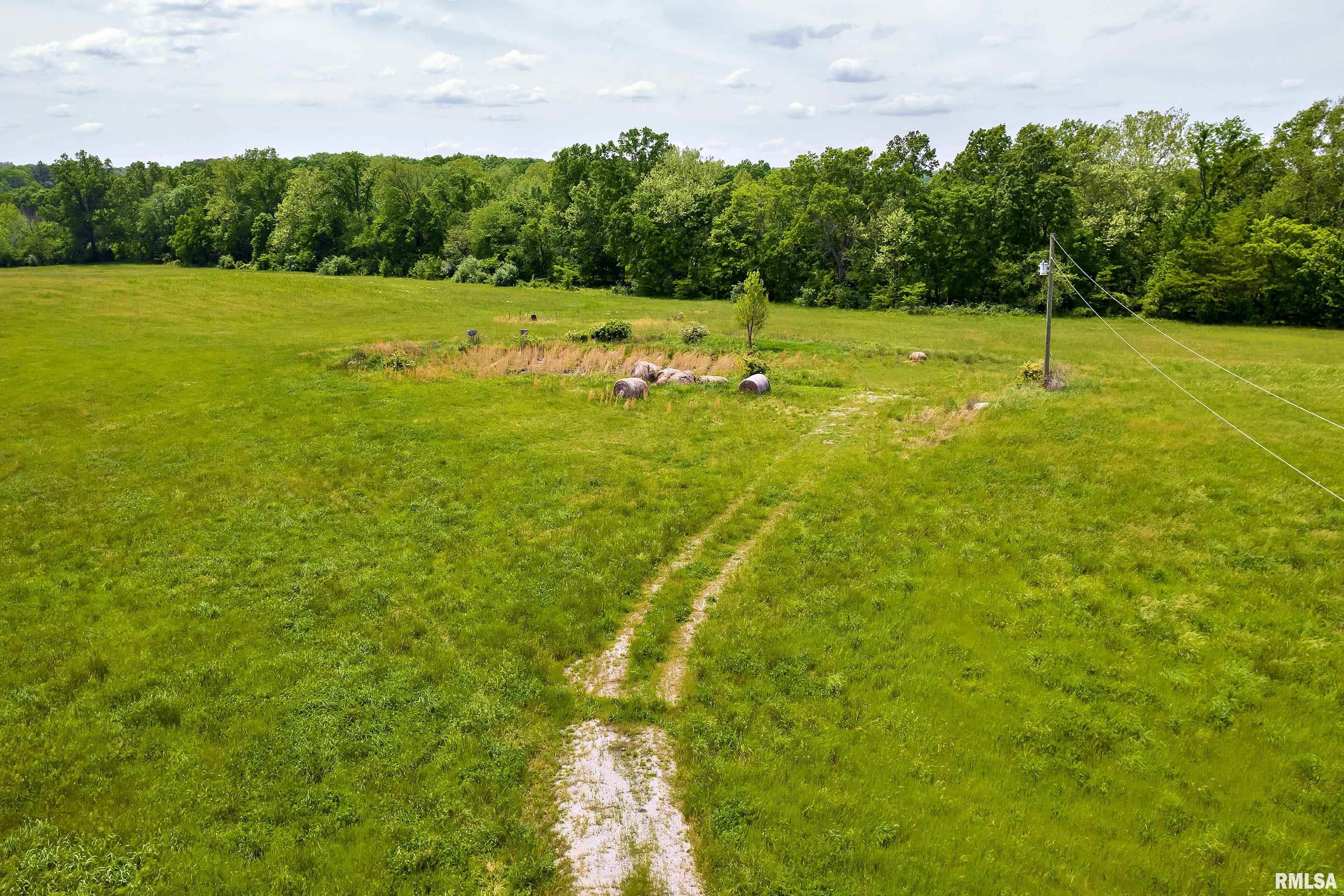 7761 Stonefort Road Creal Springs, IL 62922 - Photo 4 of 8