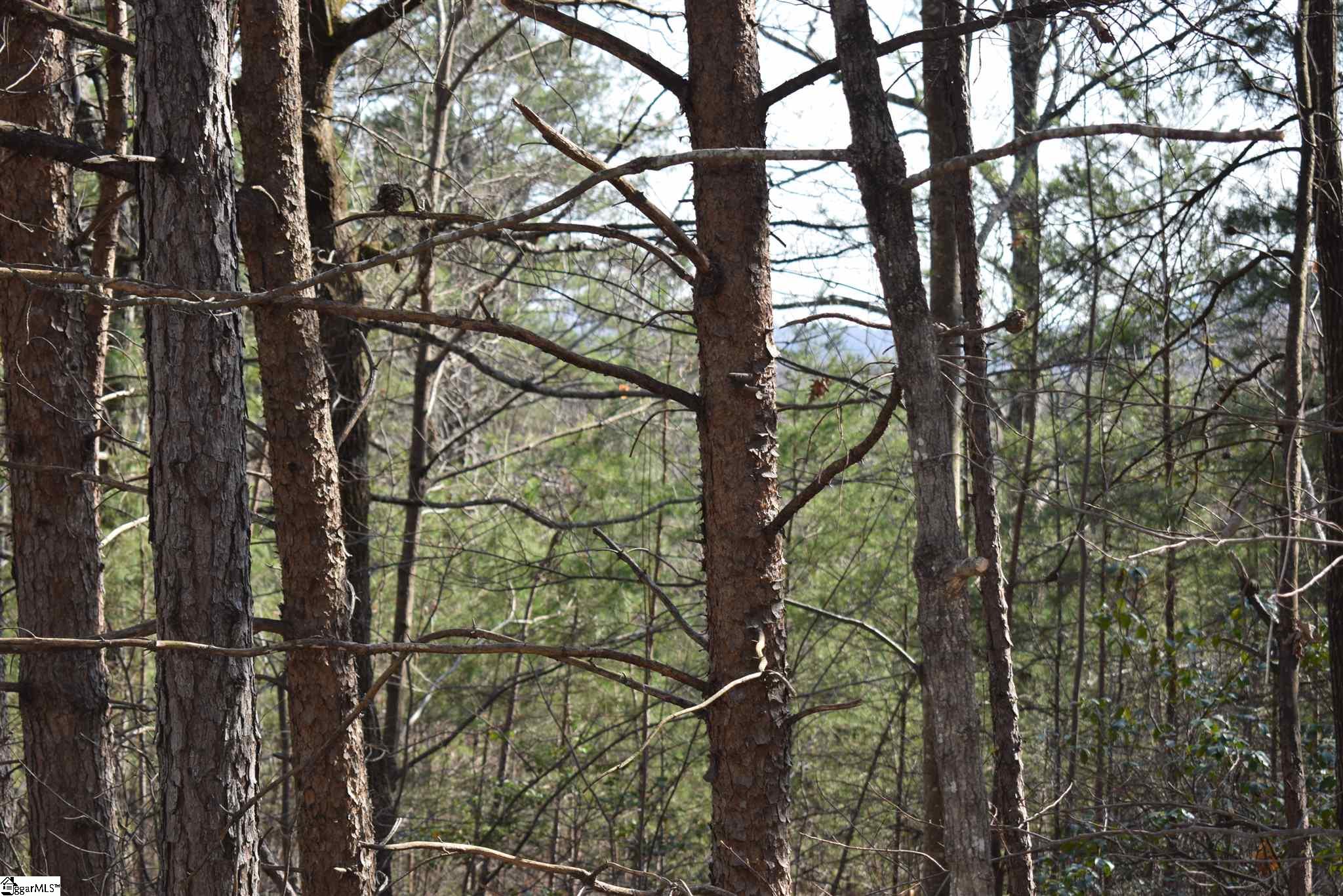 206 Raven Cliff Road Cleveland, SC 29635 - Photo 2 of 18 Gallery Image 2