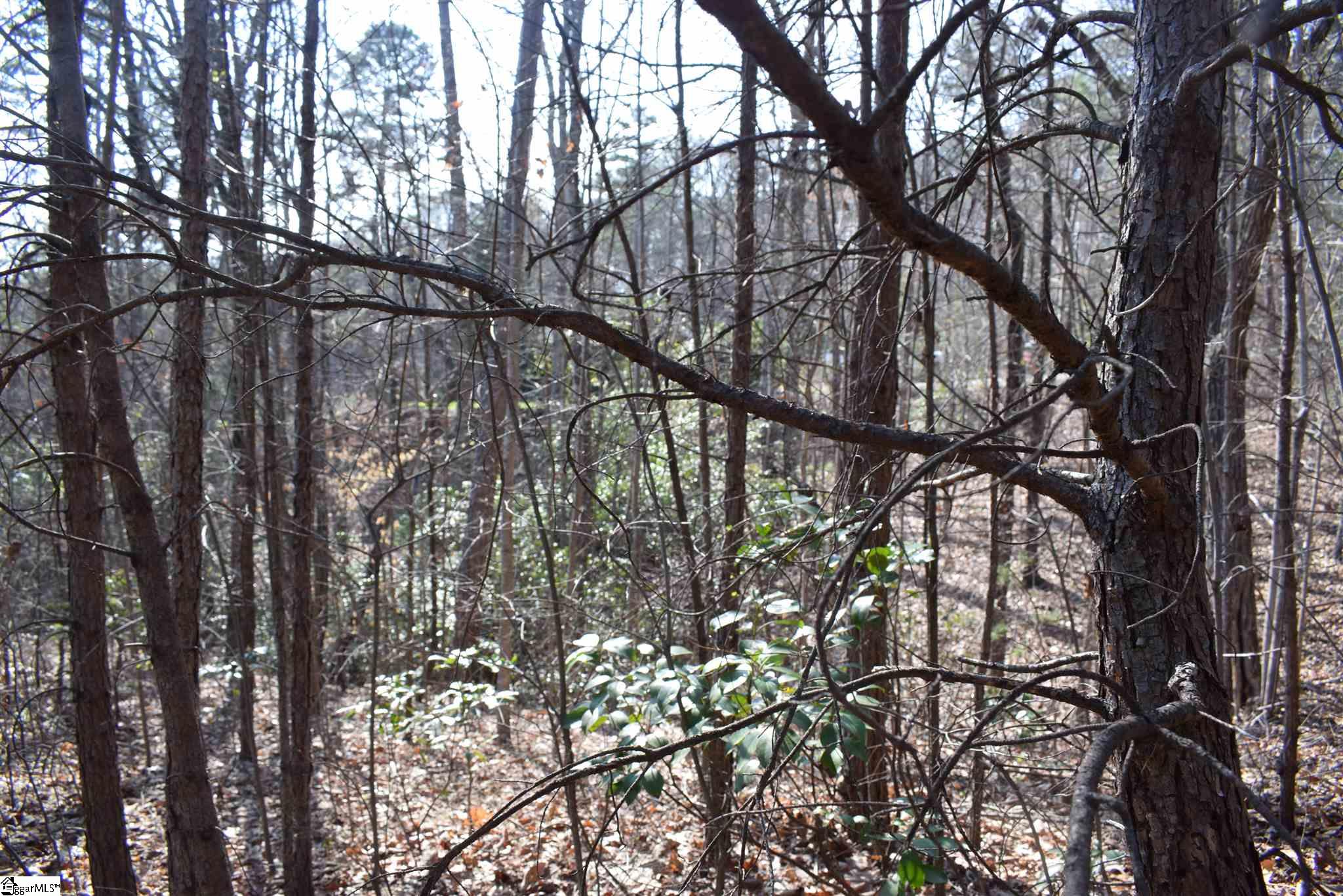 206 Raven Cliff Road Cleveland, SC 29635 - Photo 11 of 18 Gallery Image 11