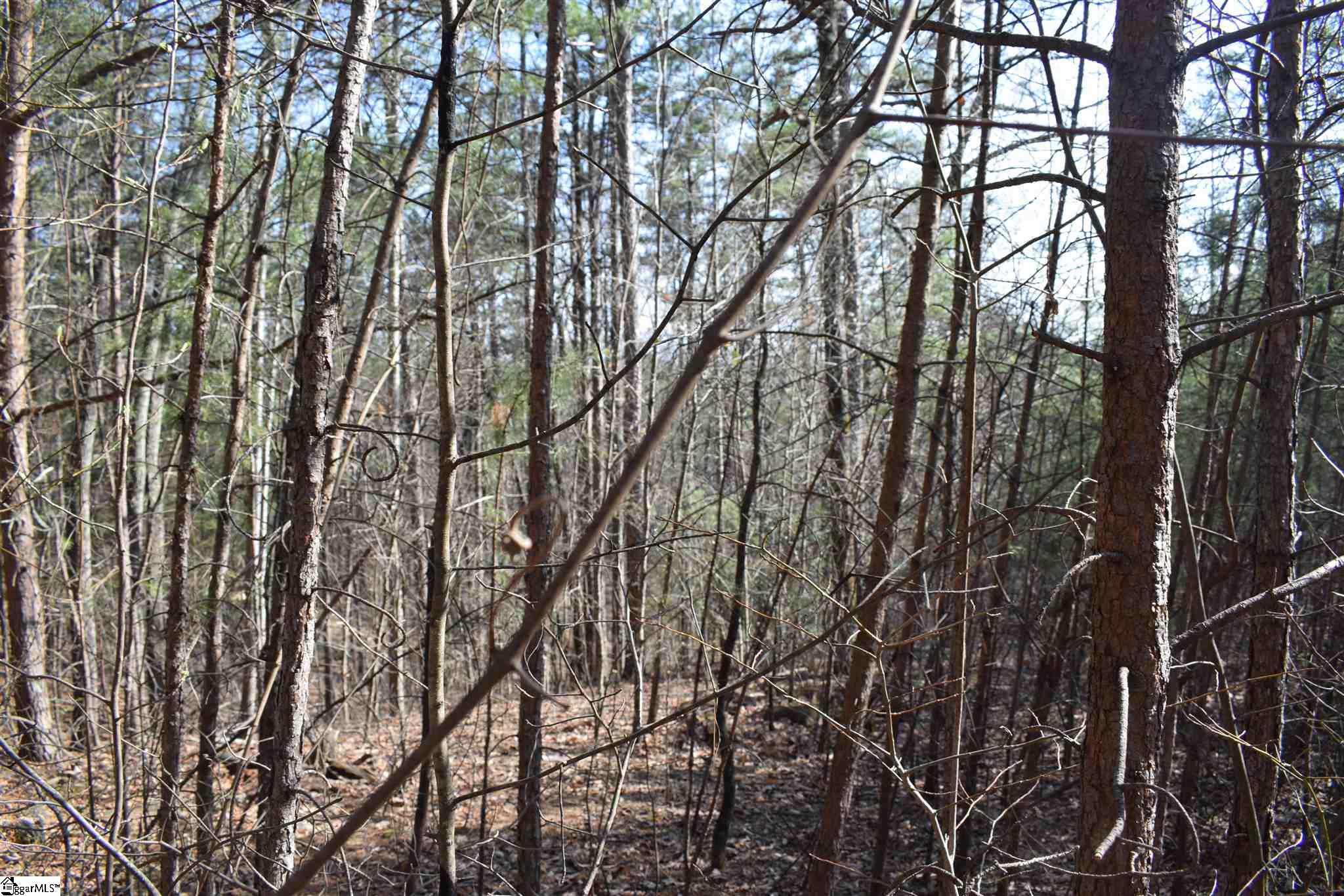 206 Raven Cliff Road Cleveland, SC 29635 - Photo 12 of 18 Gallery Image 12