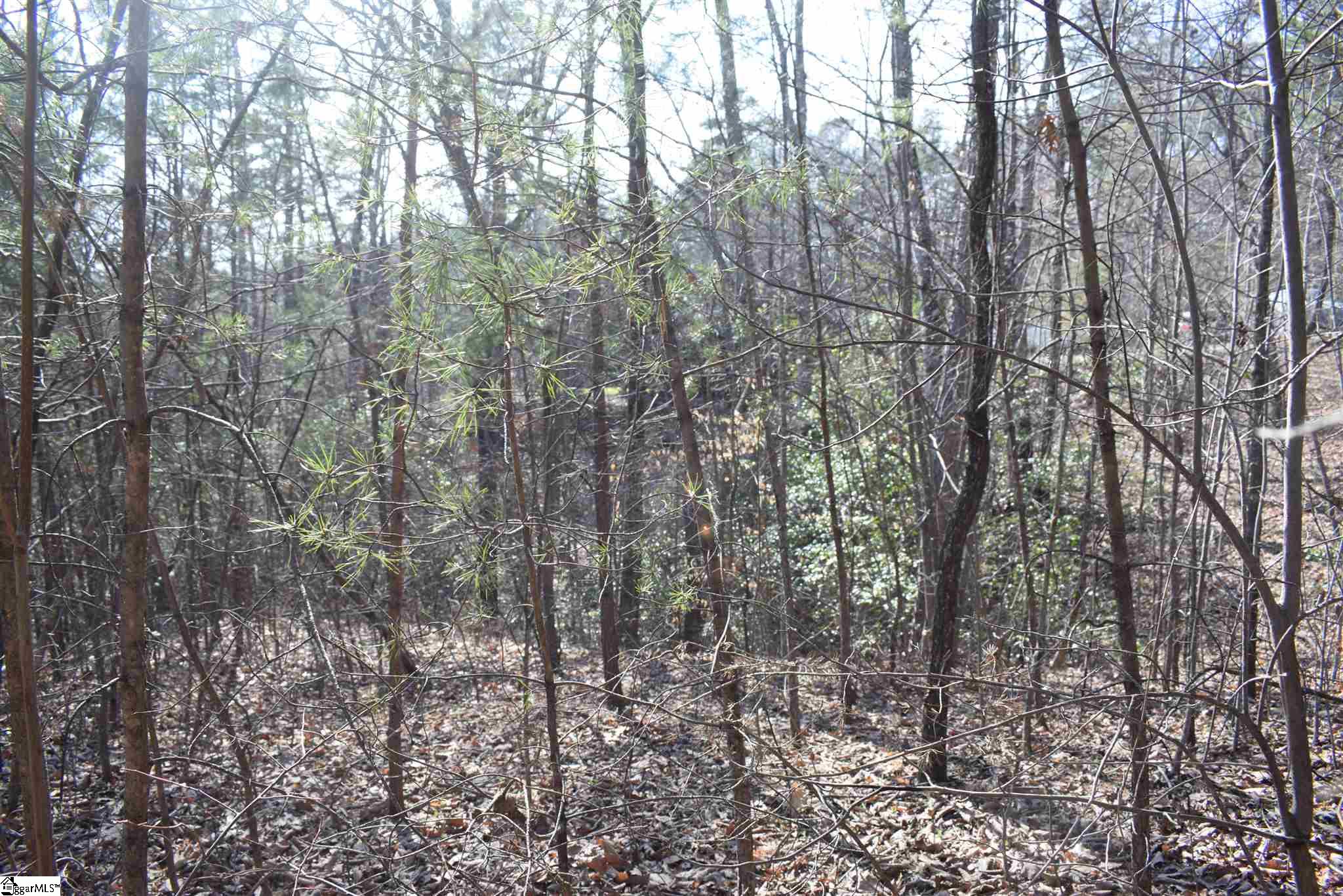 206 Raven Cliff Road Cleveland, SC 29635 - Photo 13 of 18 Gallery Image 13