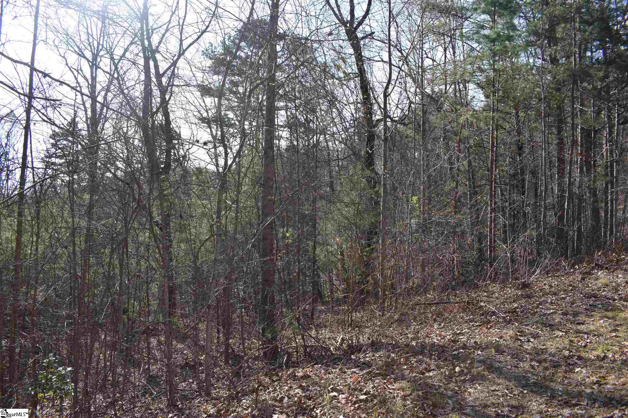 206 Raven Cliff Road Cleveland, SC 29635 - Photo 14 of 18 Gallery Image 14