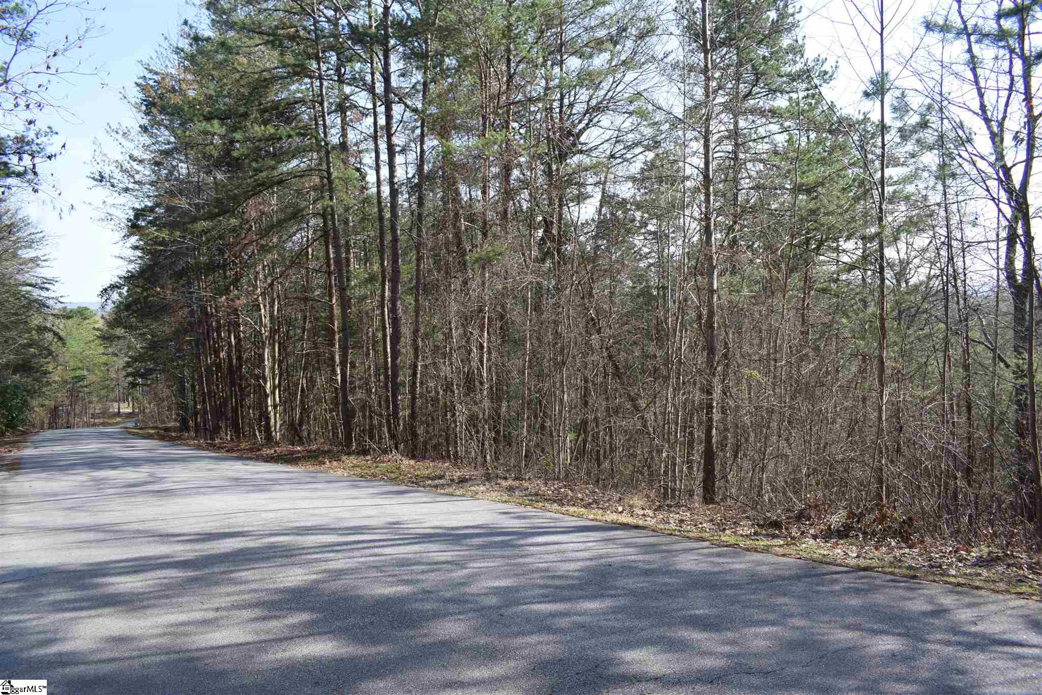 206 Raven Cliff Road Cleveland, SC 29635 - Photo 15 of 18 Gallery Image 15