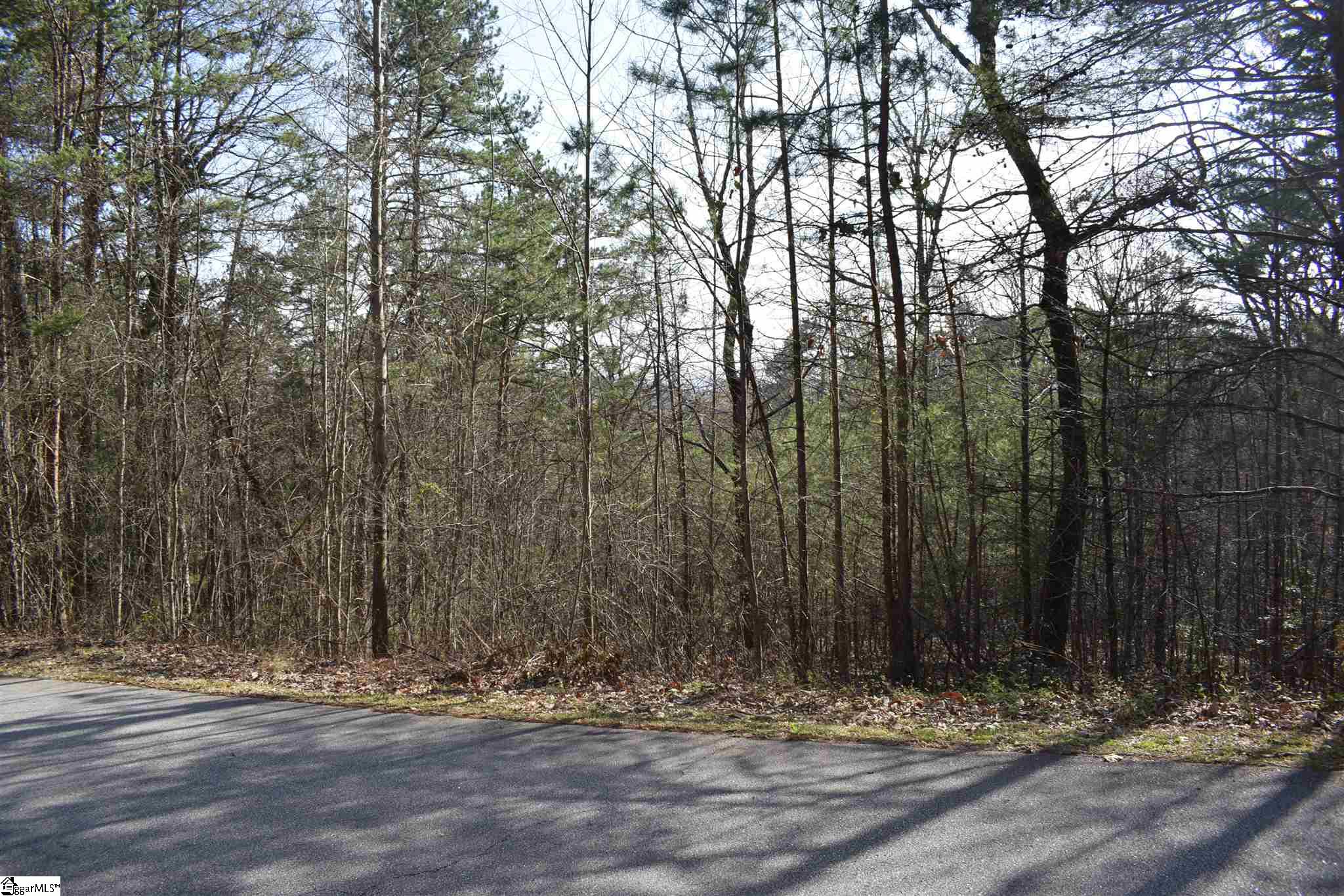 206 Raven Cliff Road Cleveland, SC 29635 - Photo 16 of 18 Gallery Image 16