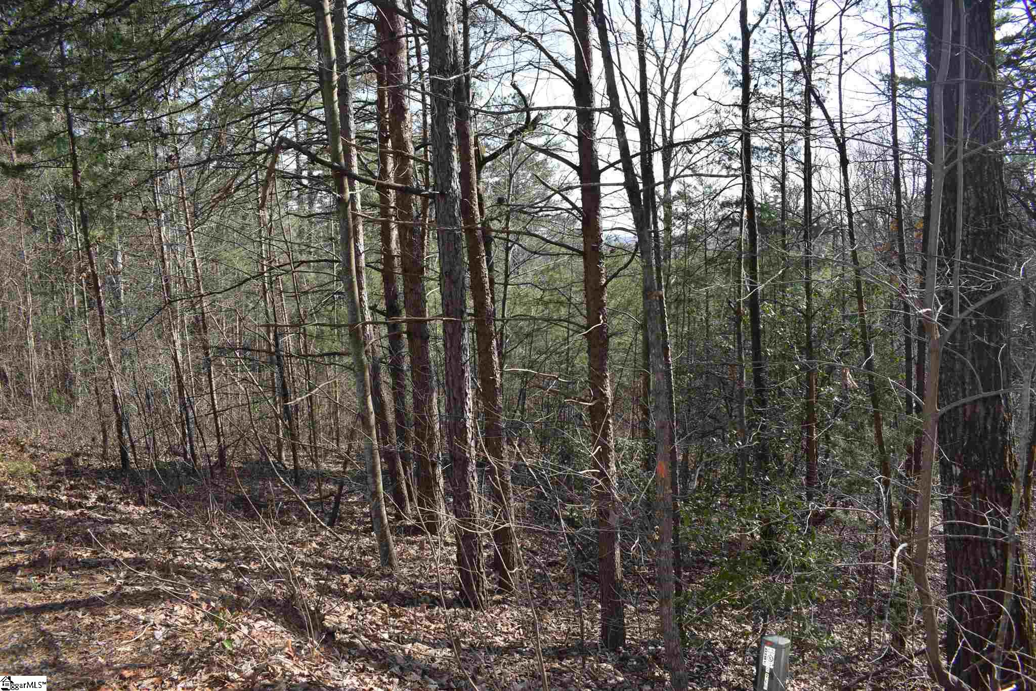 206 Raven Cliff Road Cleveland, SC 29635 - Photo 3 of 18 Gallery Image 3
