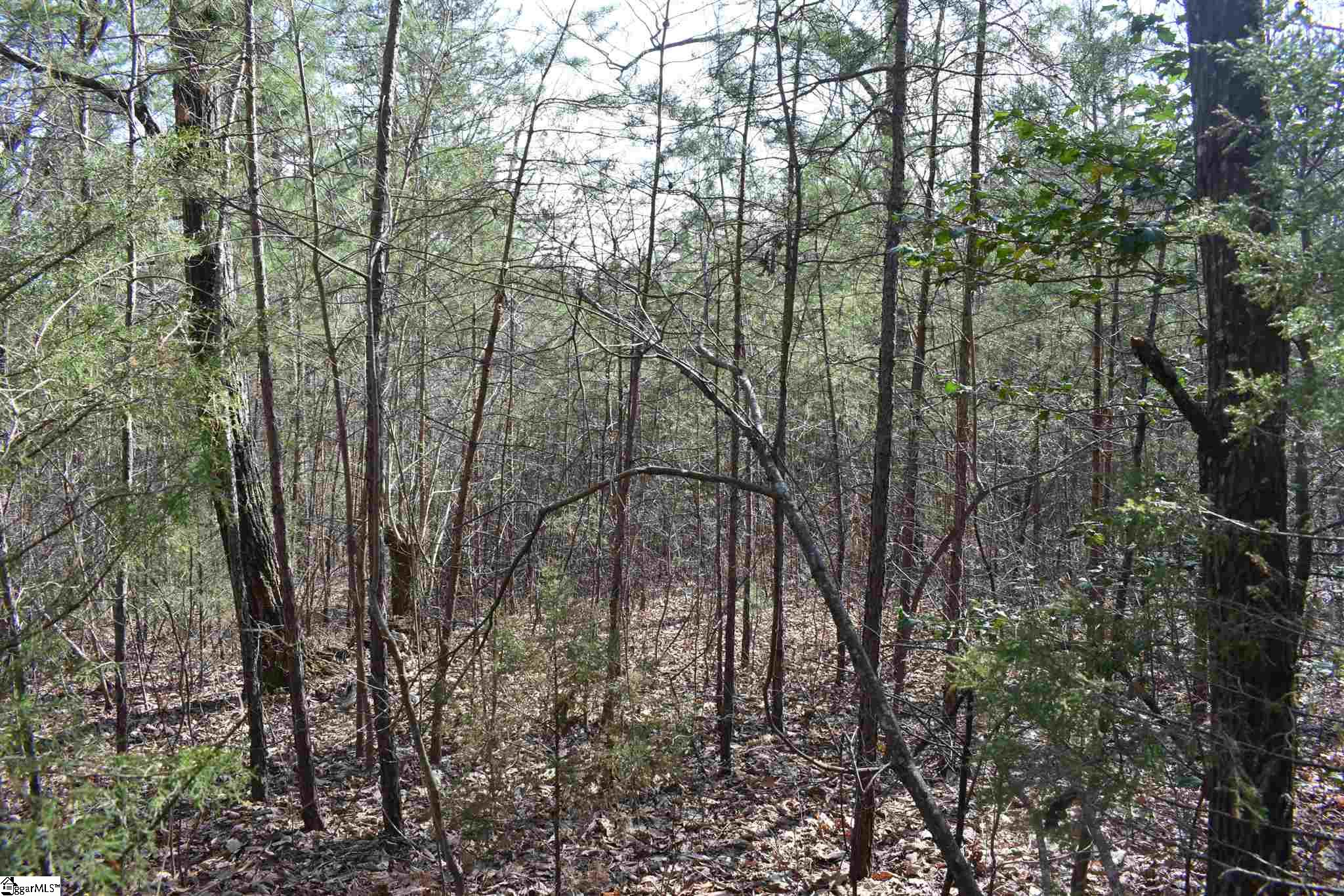 206 Raven Cliff Road Cleveland, SC 29635 - Photo 7 of 18 Gallery Image 7