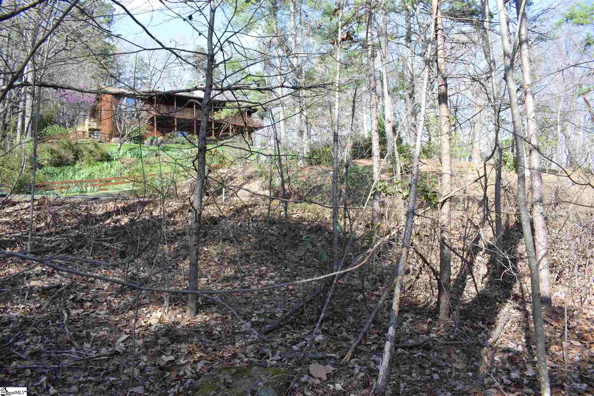 206 Raven Cliff Road Cleveland, SC 29635 - Photo 8 of 18 Gallery Image 8