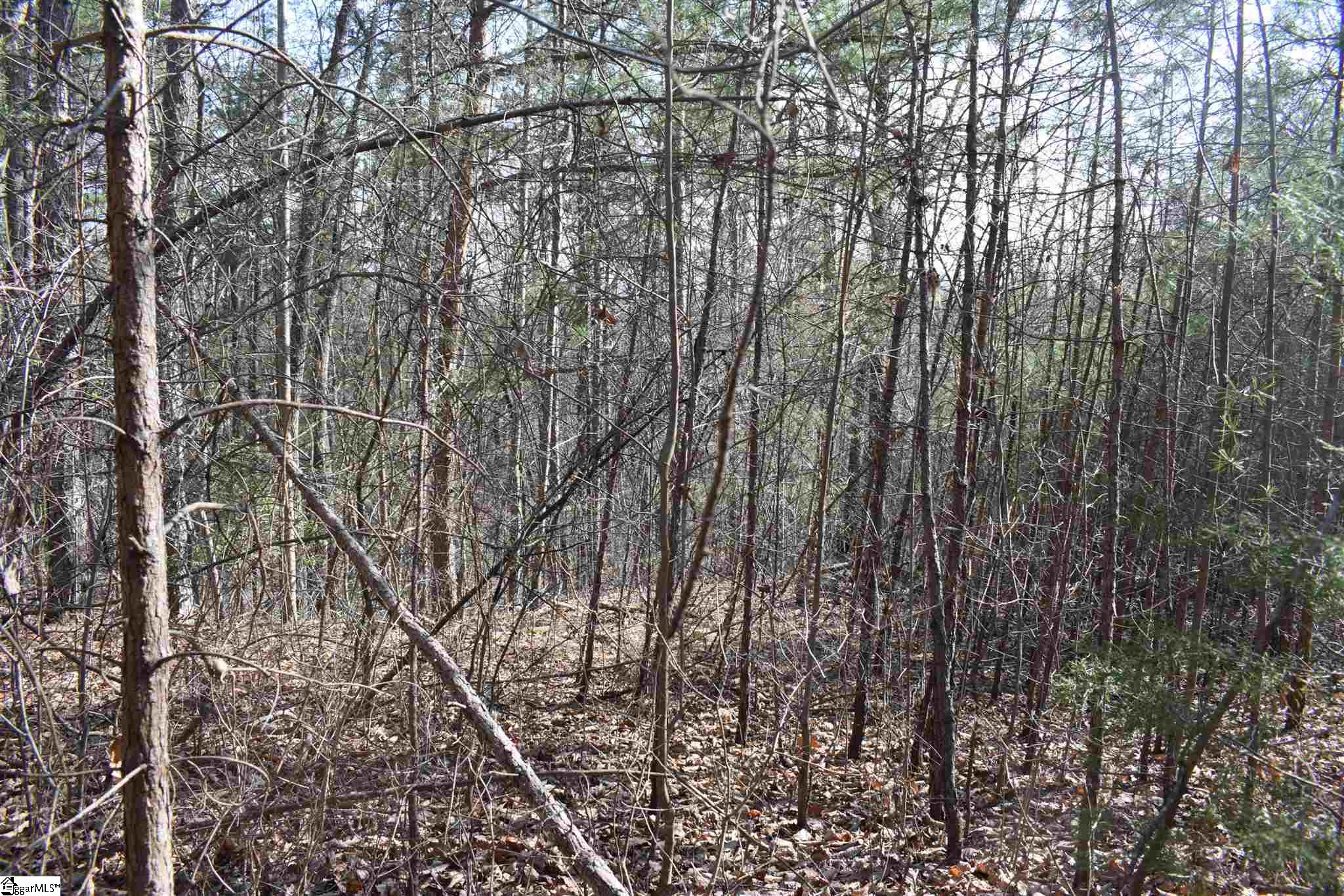 206 Raven Cliff Road Cleveland, SC 29635 - Photo 10 of 18 Gallery Image 10