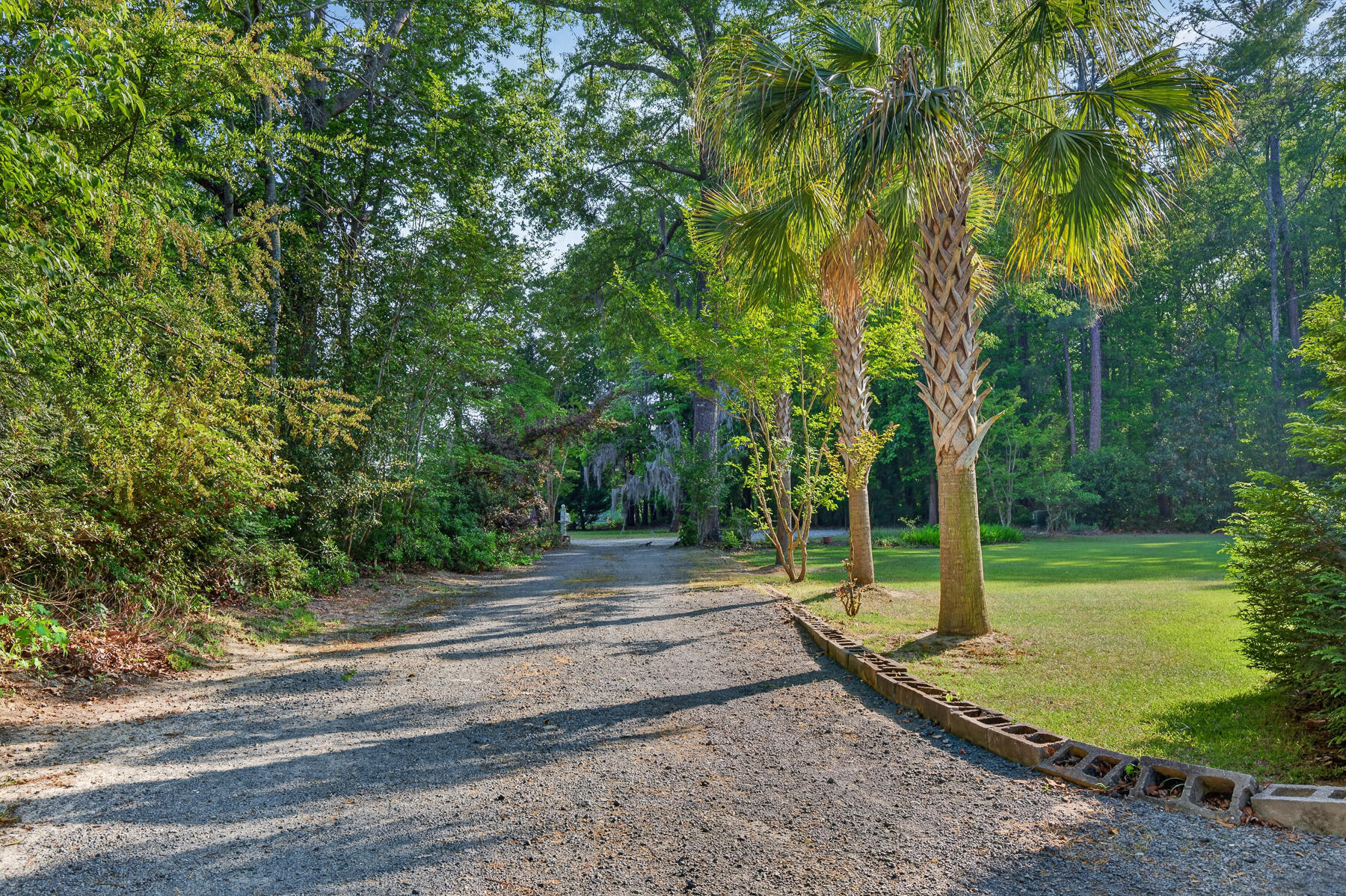28 Santee Lakes Court Elloree, SC 29047 - Photo 59 of 68 FAVORITE driveway view L out
