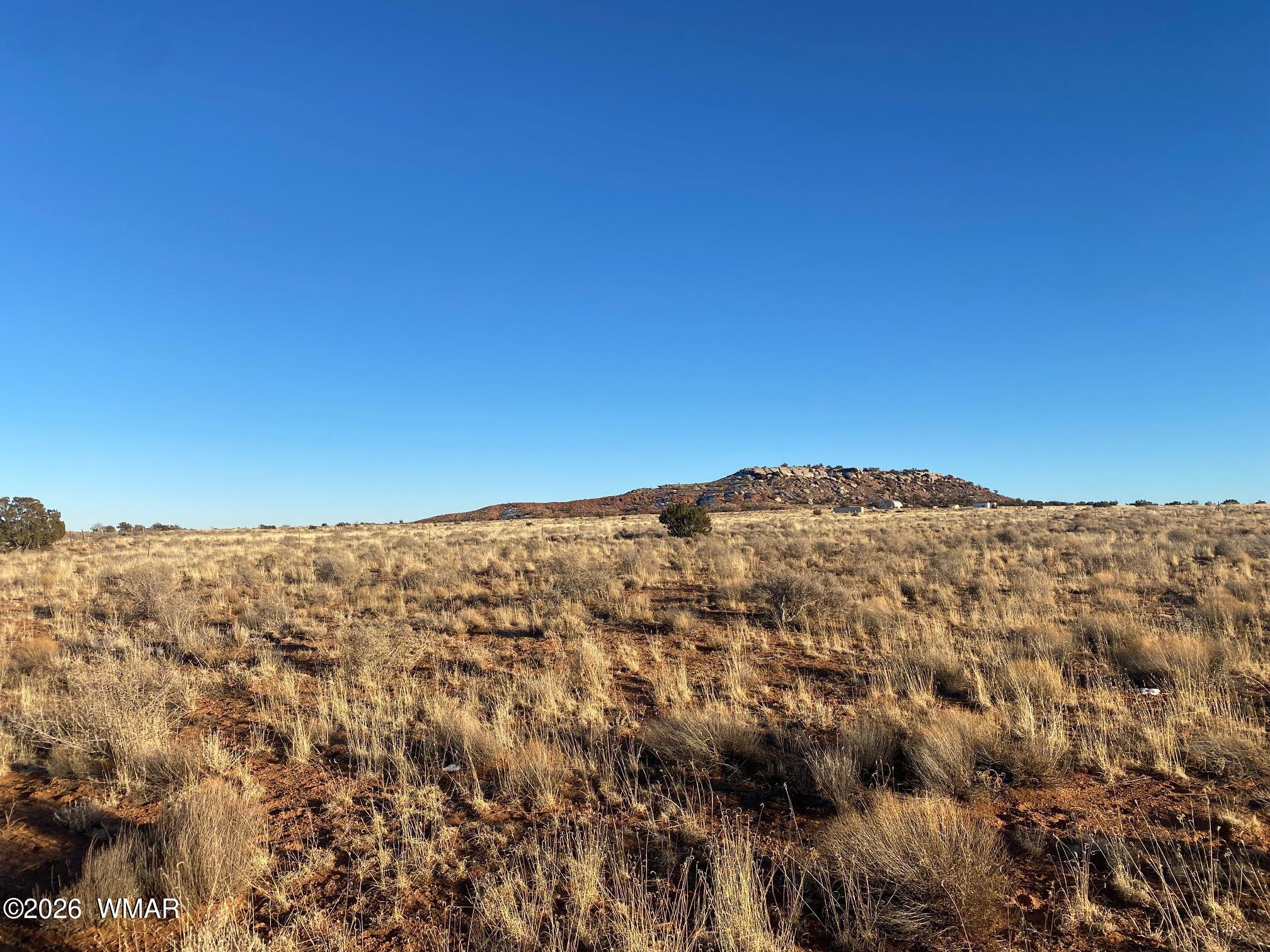Lot 51 Ridgeview Ranch Drive Snowflake, AZ 85937 - Photo 2 of 10 a view of a field