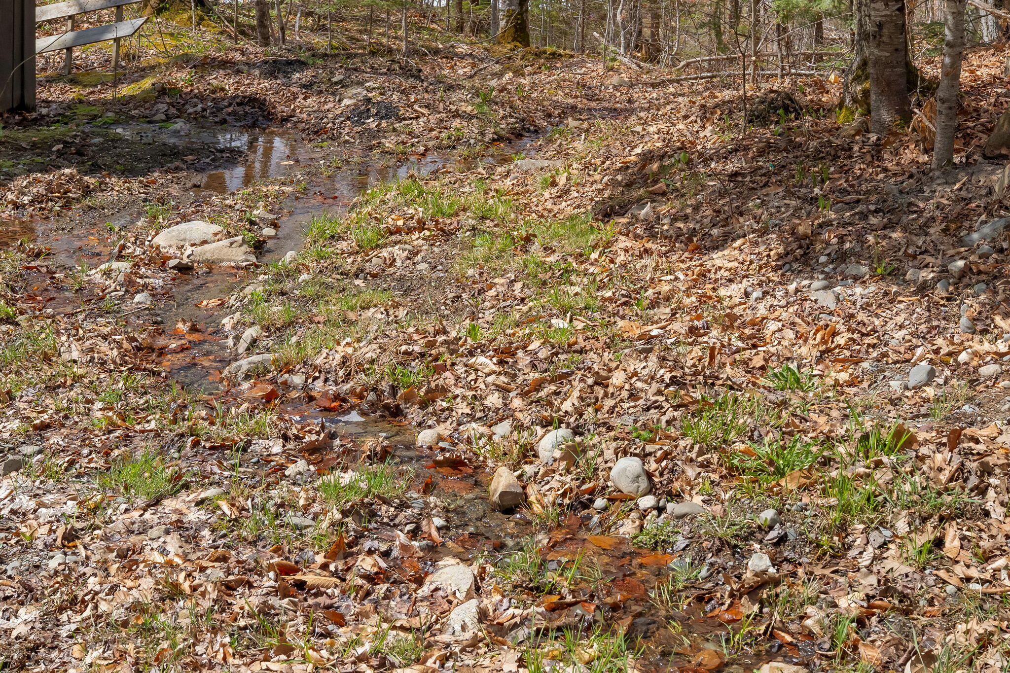 204 Pierce Hill Road Moscow, ME 04920 - Photo 44 of 49