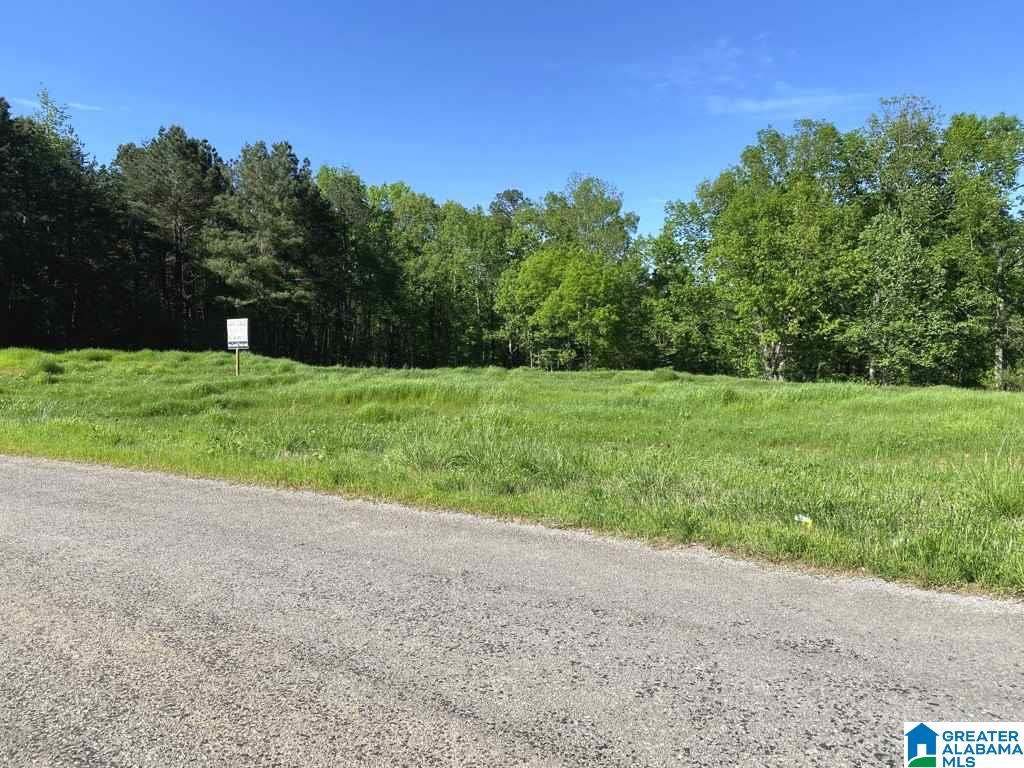 565 County Road, Unit DODGE Hanceville, AL 35077 - Photo 4 of 4