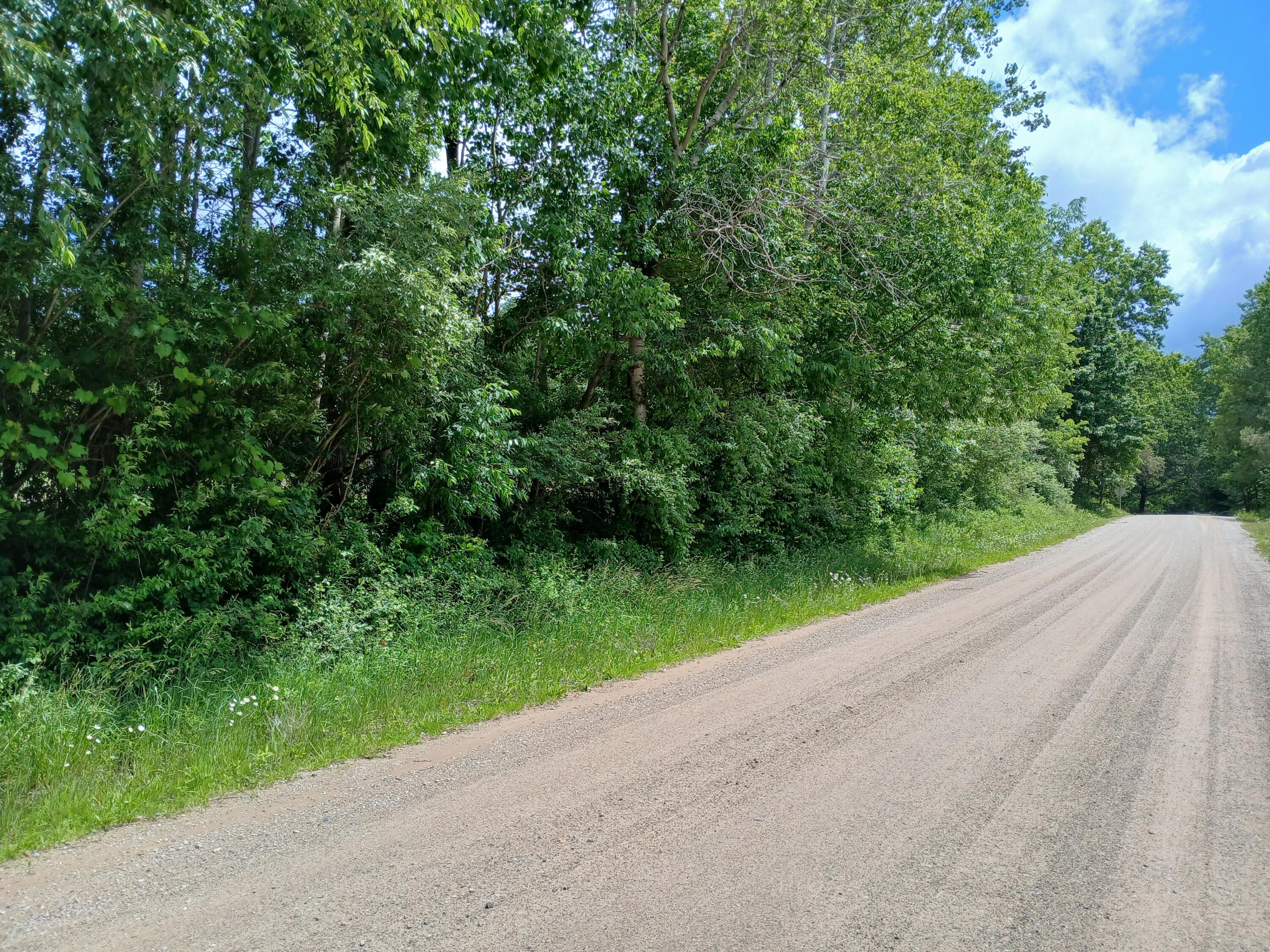 24 East Beyer Road Fountain, MI 49410 - Photo 10 of 10 Road from W corner