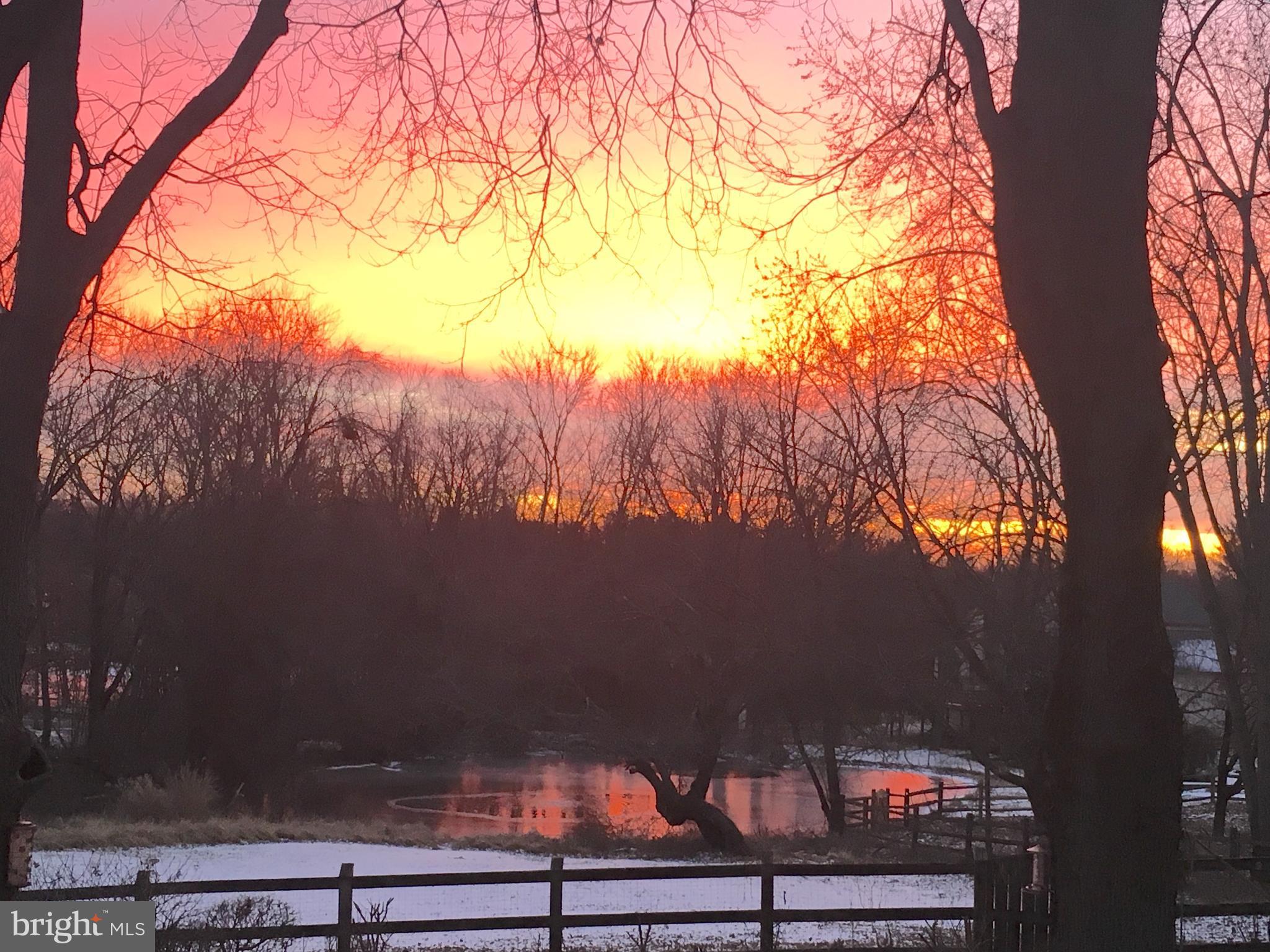 1918 Merrifields Drive Silver Spring, MD 20906 - Photo 47 of 56 Sunrise over the pond on a winter day