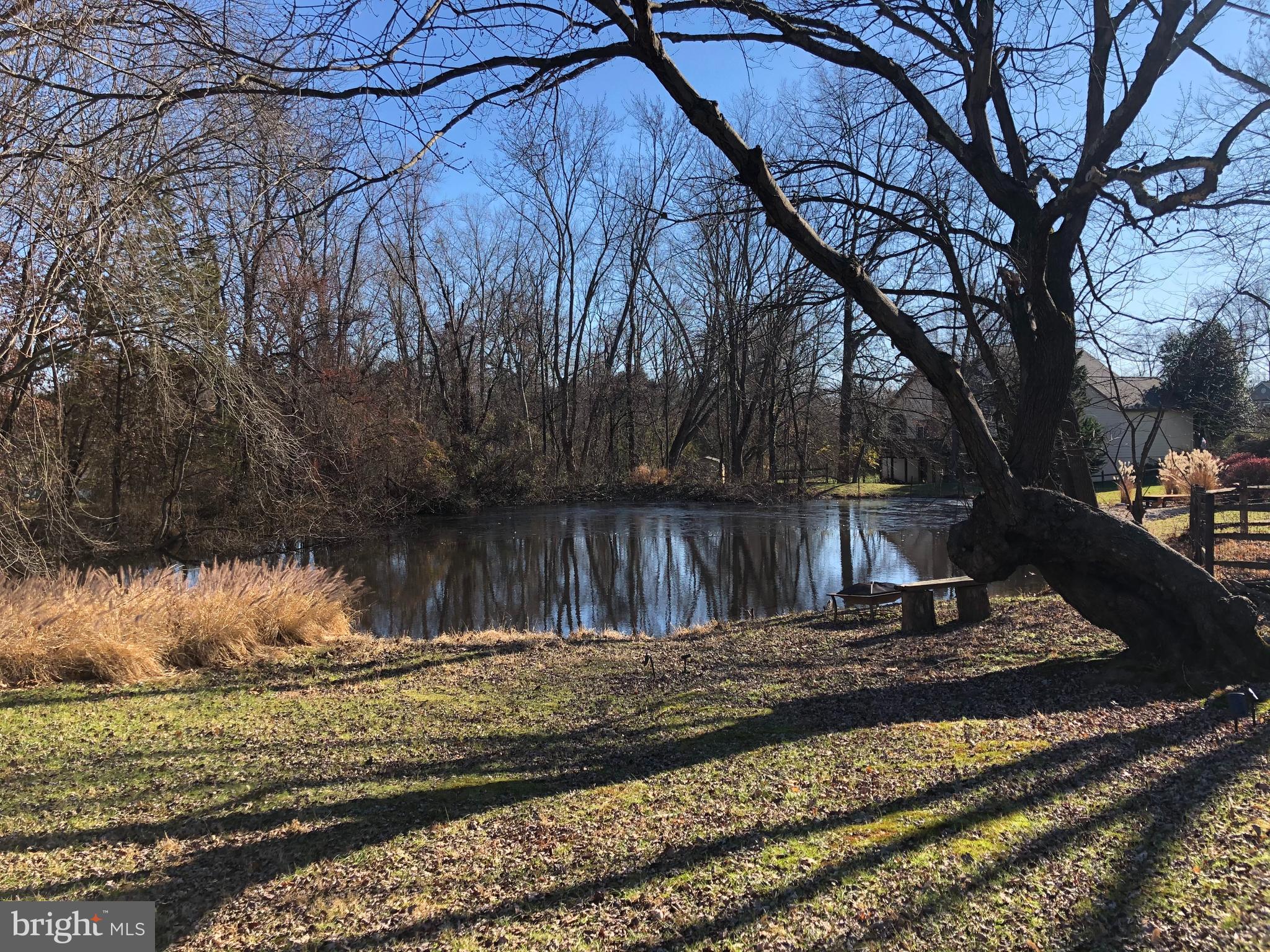 1918 Merrifields Drive Silver Spring, MD 20906 - Photo 54 of 56 Pond