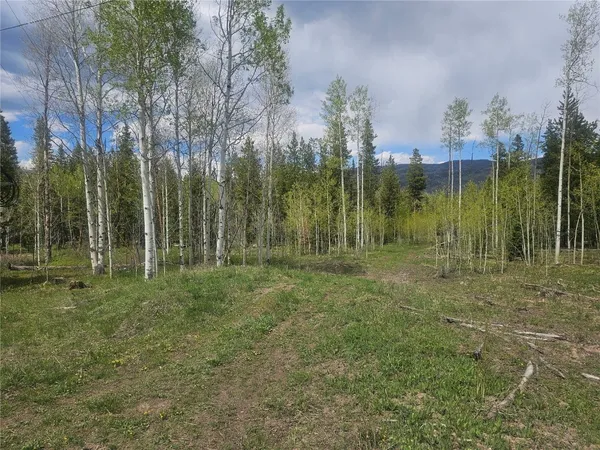 $47,000 | 20850 Mustang Way, Oak Creek, CO 80467