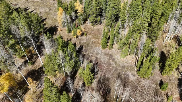 a view of a house with a lush green forest
