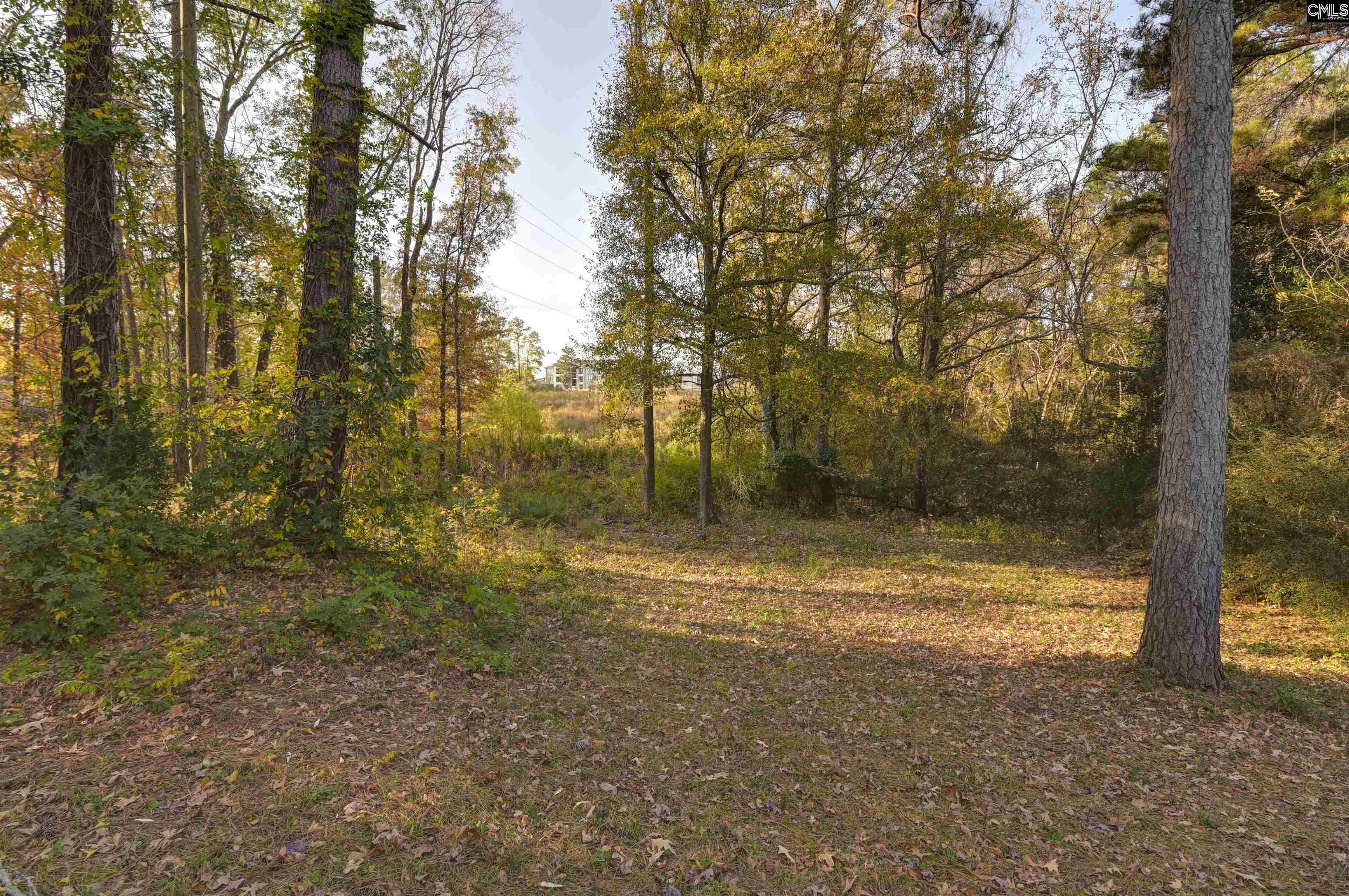 100 Woodspur Road Irmo, SC 29063 - Photo 34 of 38