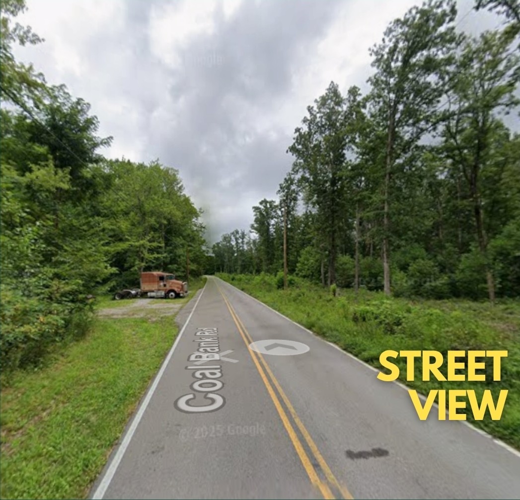 1 Coal Bank Road Sparta, TN 38583 - Photo 7 of 8 a view of a street with a big yard