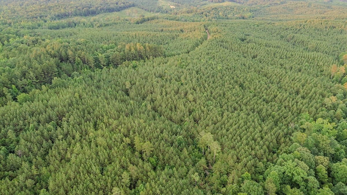 0 Sipes Way Bolivar, TN 38008 - Photo 11 of 15