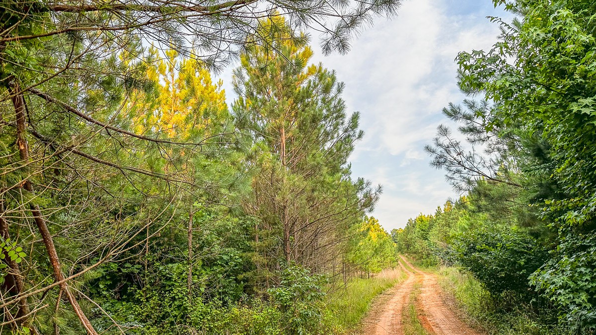 0 Sipes Way Bolivar, TN 38008 - Photo 14 of 15