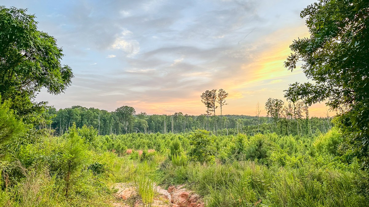 0 Sipes Way Bolivar, TN 38008 - Photo 2 of 15
