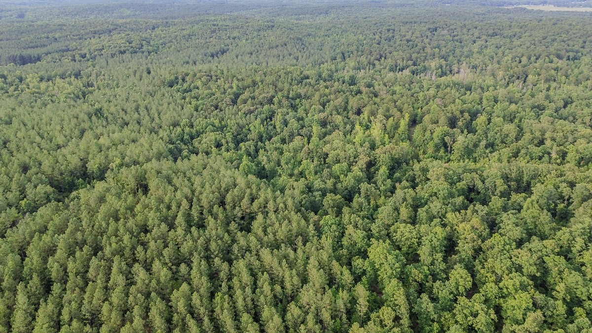 0 Sipes Way Bolivar, TN 38008 - Photo 4 of 15