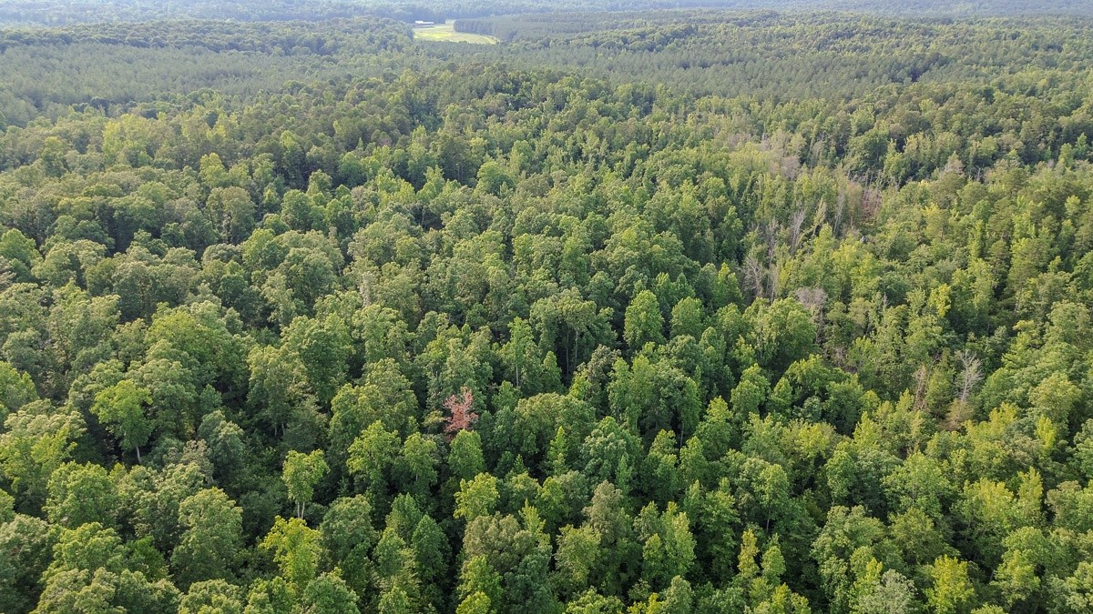 0 Sipes Way Bolivar, TN 38008 - Photo 5 of 15