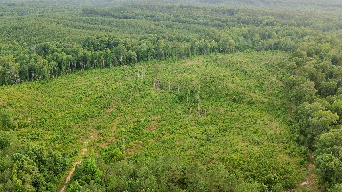 0 Sipes Way Bolivar, TN 38008 - Photo 6 of 15