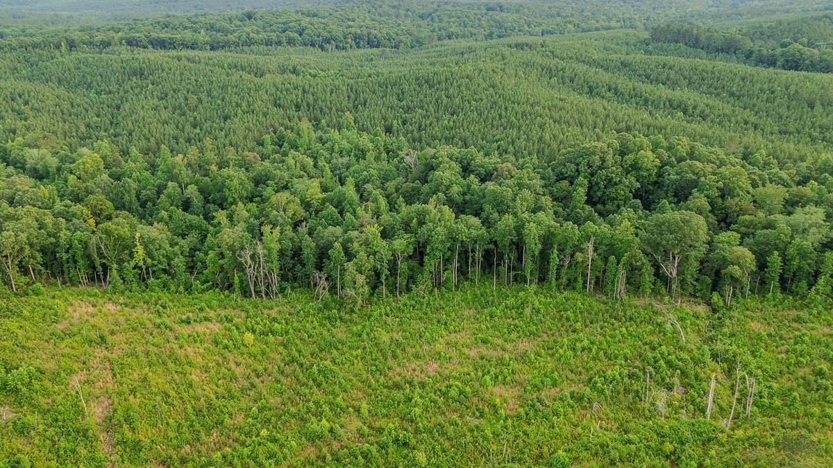 0 Sipes Way Bolivar, TN 38008 - Photo 7 of 15