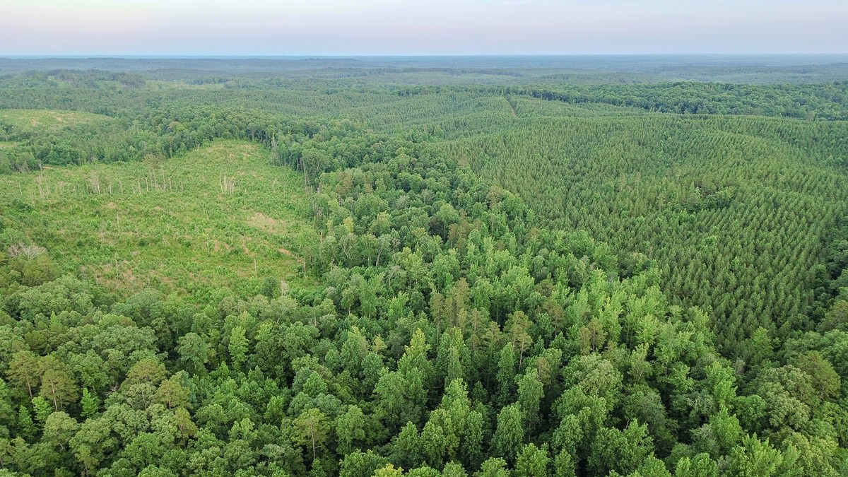 0 Sipes Way Bolivar, TN 38008 - Photo 8 of 15