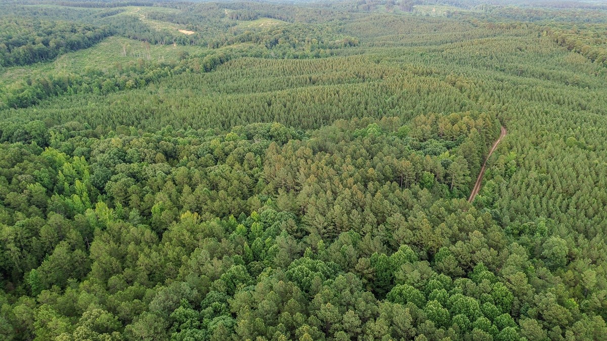 0 Sipes Way Bolivar, TN 38008 - Photo 10 of 15