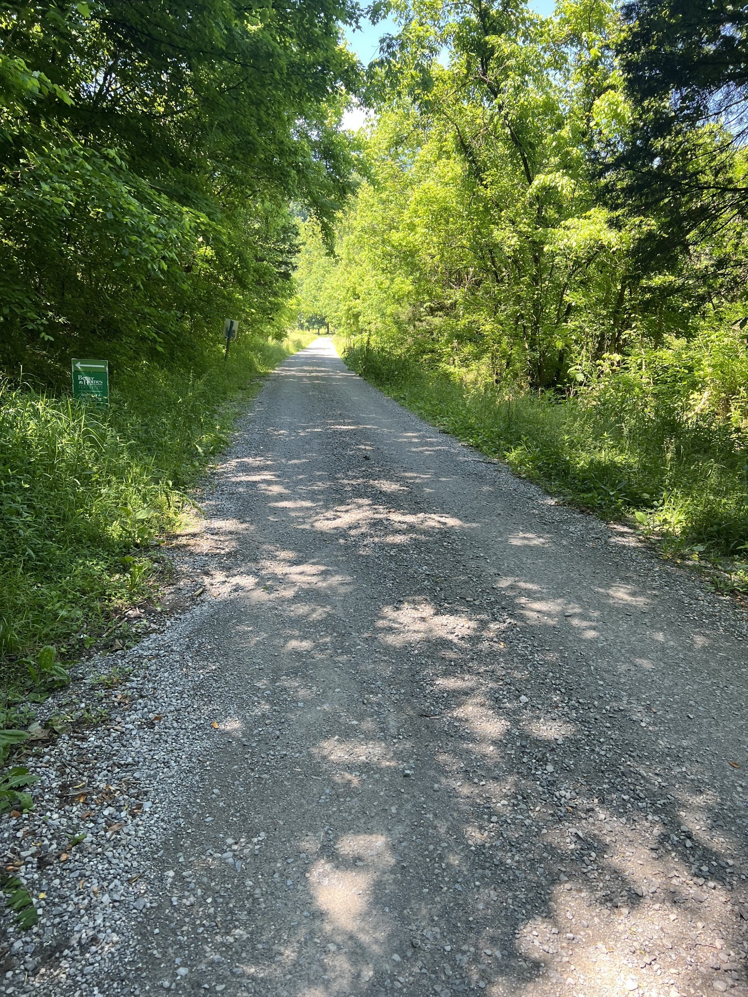0 Peytons Creek Road Pleasant Shade, TN 37145 - Photo 4 of 5 a view of a yard with plants and large trees