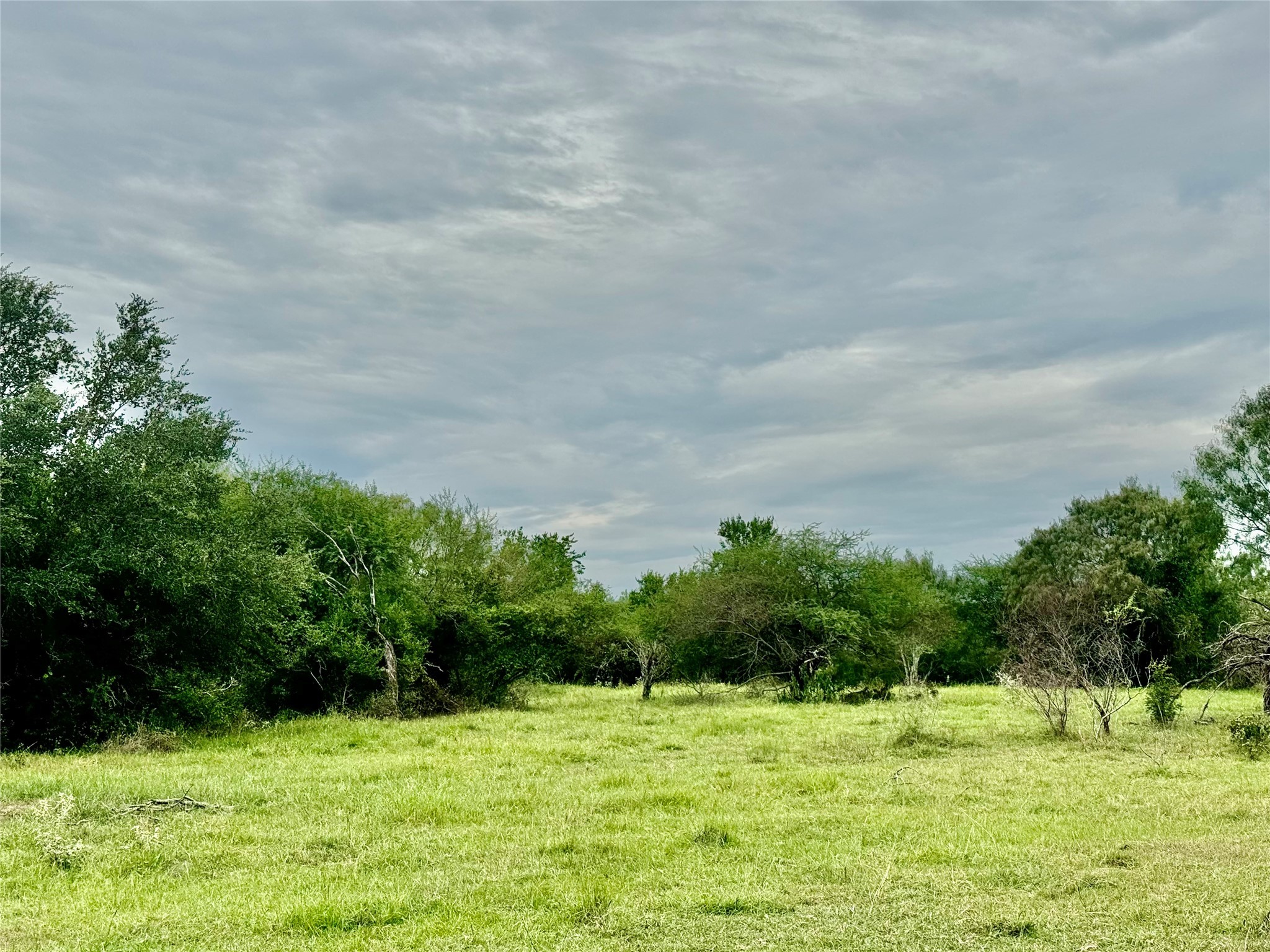 312 County Road 312 Yoakum, TX 77995 - Photo 11 of 28 a backyard of a house with lots of green space