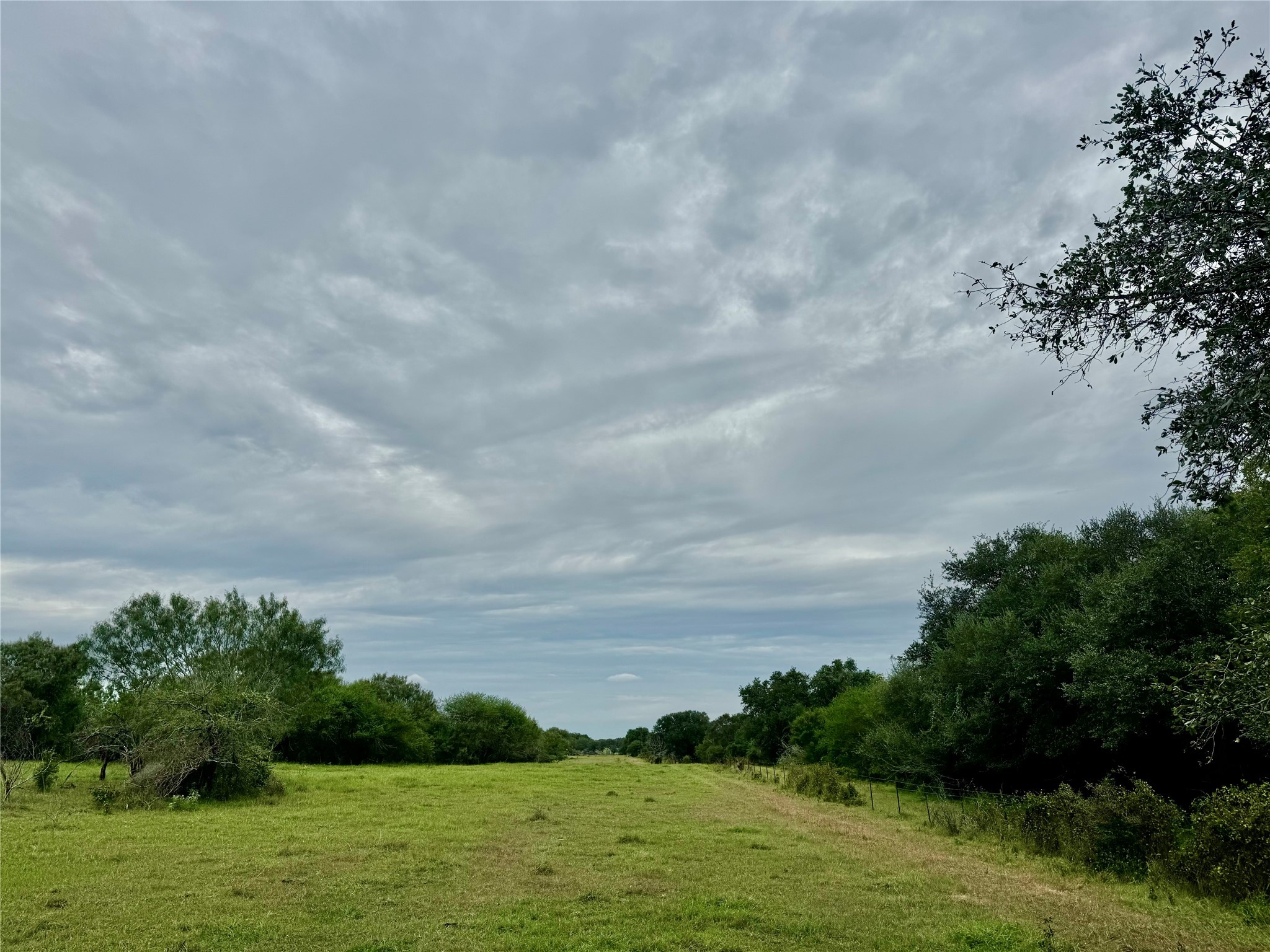 312 County Road 312 Yoakum, TX 77995 - Photo 12 of 28 a view of a bunch of trees and buildings