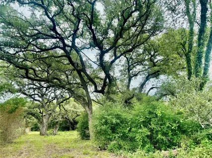 a view of a lake with houses in the background