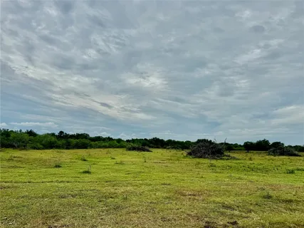 a view of a green yard