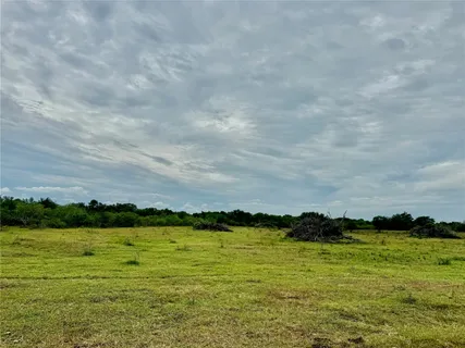 a view of a green yard