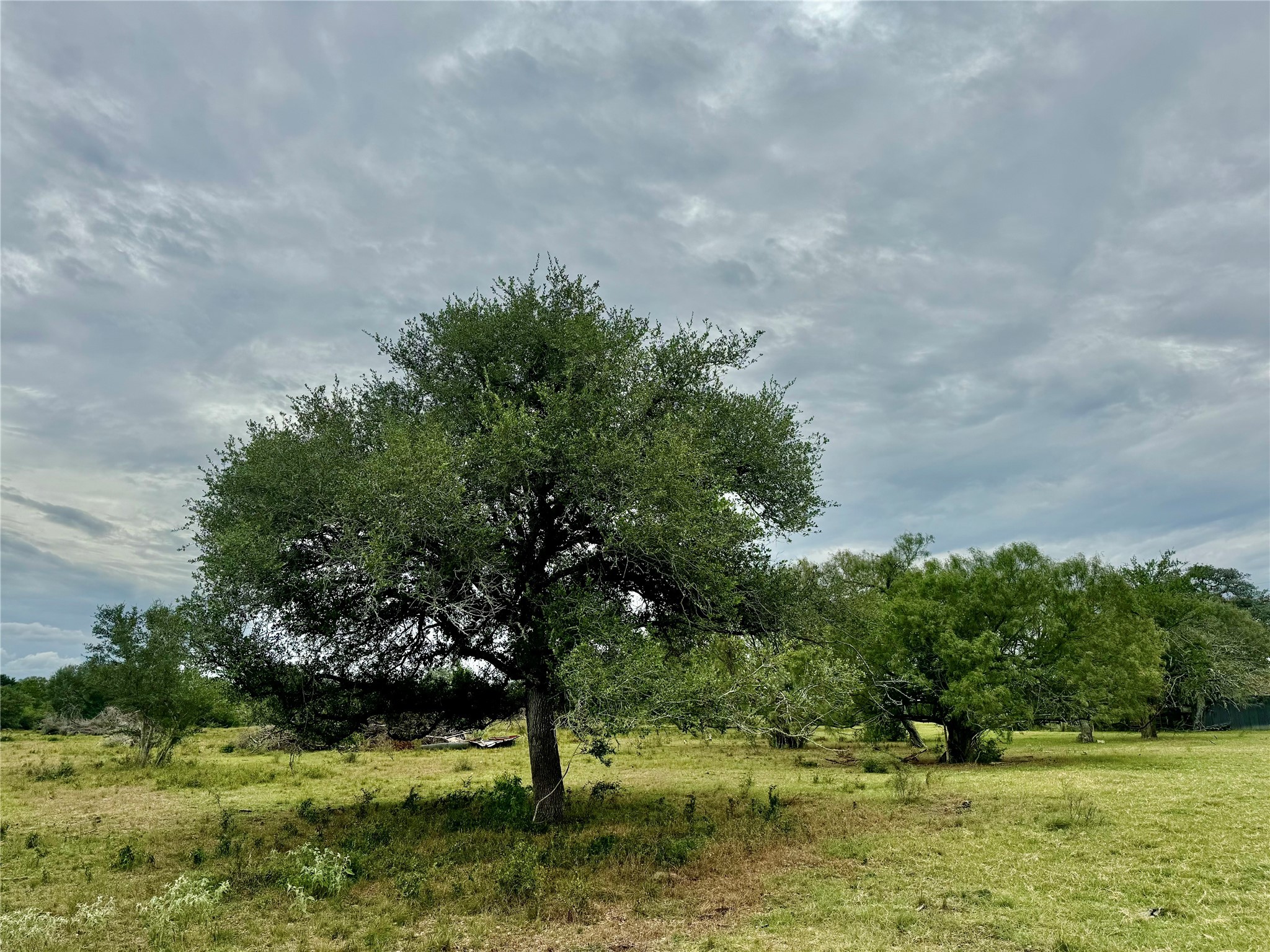 312 County Road 312 Yoakum, TX 77995 - Photo 16 of 28 a view of a green yard